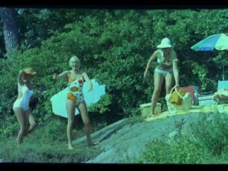 one swedish summer 1968